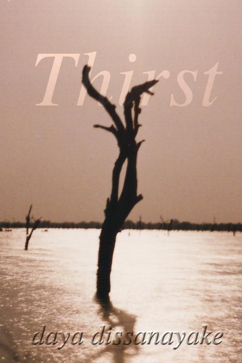 Cover of Thirst